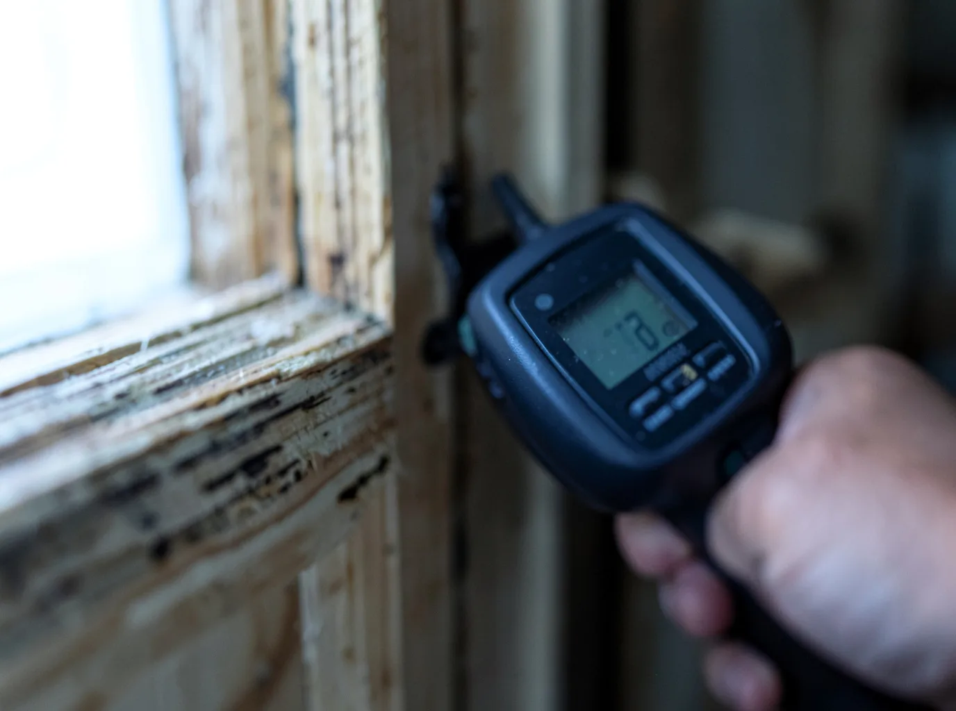 Moisture Inspection And Documentation in Litchfield, NH